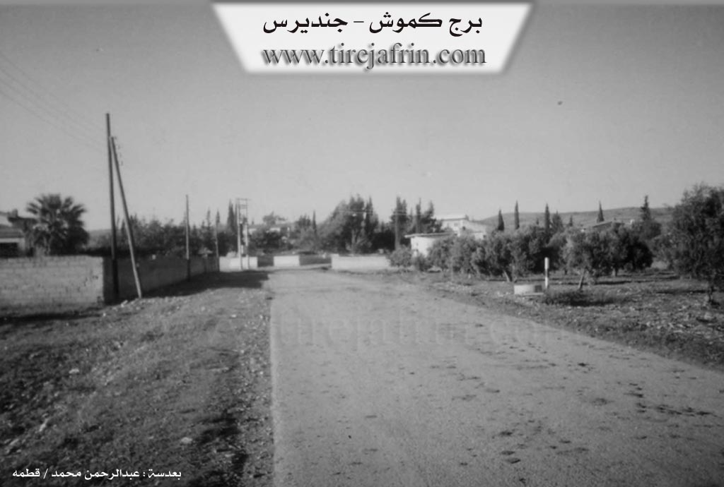 Photo of Bircikê